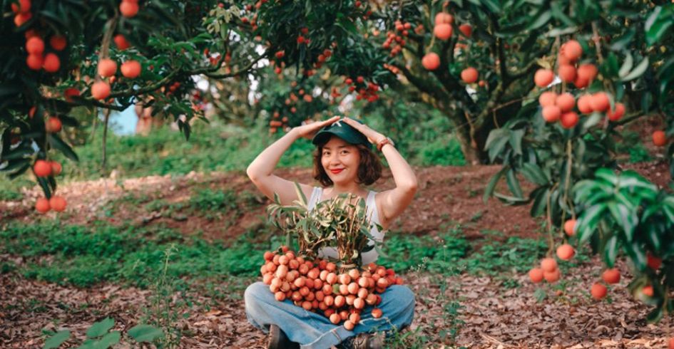 Ba điểm 'sống ảo' trong mùa vải muộn ở Bắc Giang