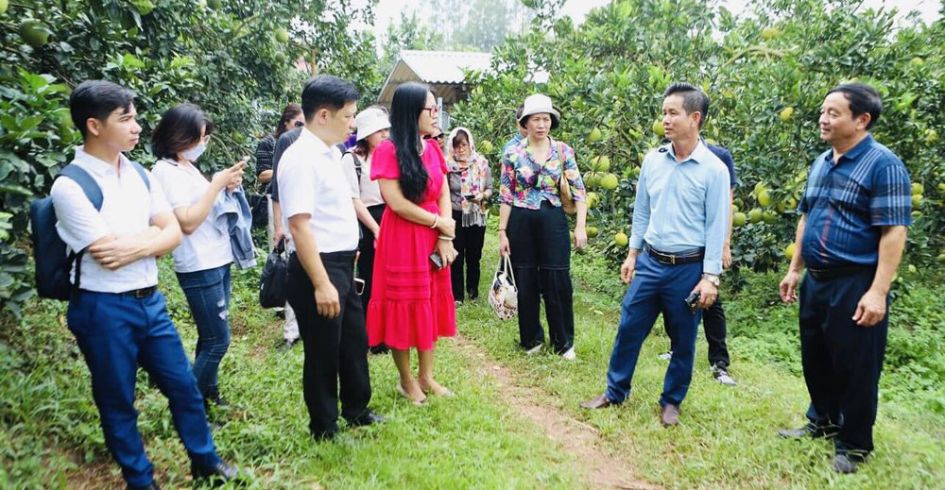Mùa cam, bưởi năm 2023: Hút khách về vườn
