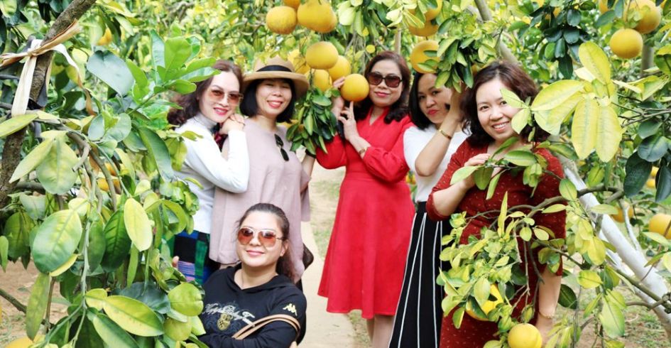 Du lịch Lục Ngạn mùa cam, bưởi: Tạo điểm nhấn để hút khách