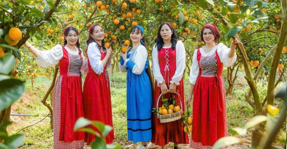 Lục Ngạn: Hút khách du lịch mùa cam, bưởi