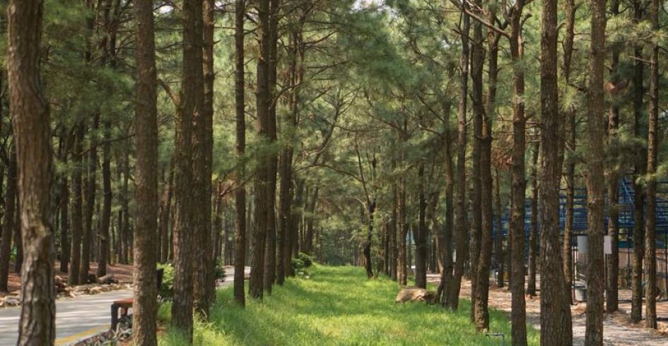 Ba địa điểm du lịch sinh thái quanh Hà Nội dịp nghỉ lễ