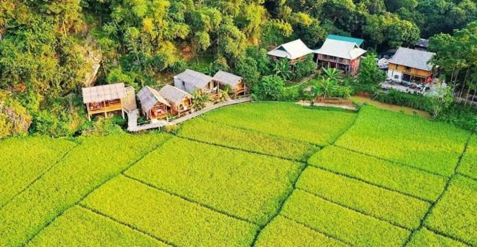 5 điểm đến lý tưởng để nghỉ dưỡng và tập yoga tại Việt Nam