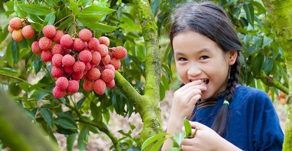 Du lịch cộng đồng - Hướng đi bền vững của Lục Ngạn