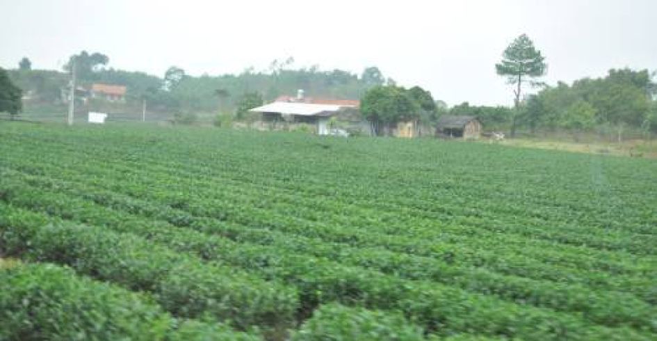Đặc sản núi rừng Yên Thế