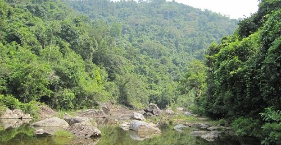 Du lịch Bắc Giang hướng những thời cơ vận hội trong hành trình phát triển