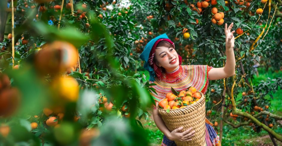 Du lịch huyện Lục Ngạn – Tiềm năng và định hướng phát triển