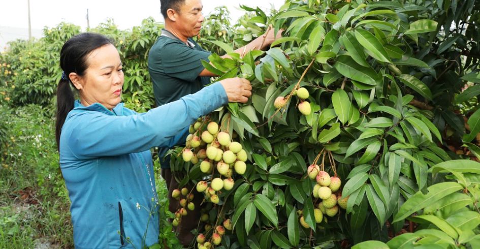 Hút khách mùa hè: Điểm du lịch đổi mới, đón thời cơ