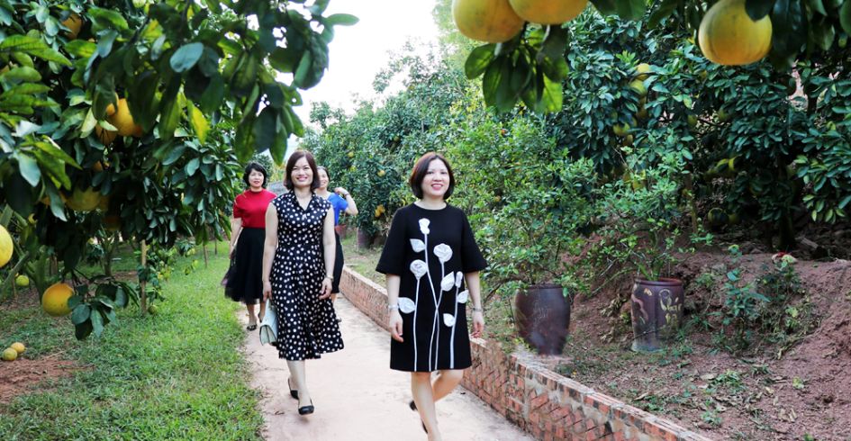 Du lịch nông nghiệp: Hiệu quả kép