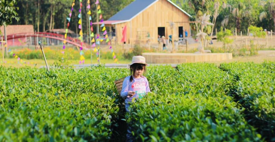 Khai thác tài nguyên văn hoá dân tộc trong phát triển du lịch cộng đồng vùng cao