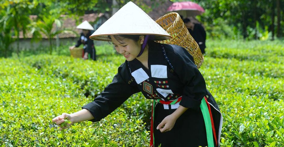 Định vị thương hiệu du lịch Bắc Giang