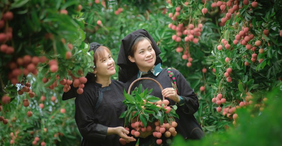 Bắc Giang: Khai thác phát triển du lịch nông nghiệp nông thôn