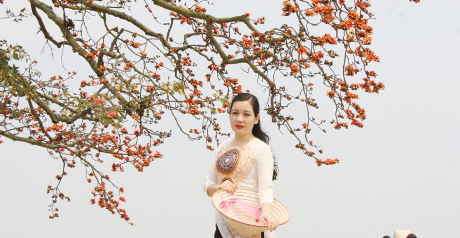 Hàng nghìn du khách say đắm sắc hoa tháng Ba tại Bắc Giang