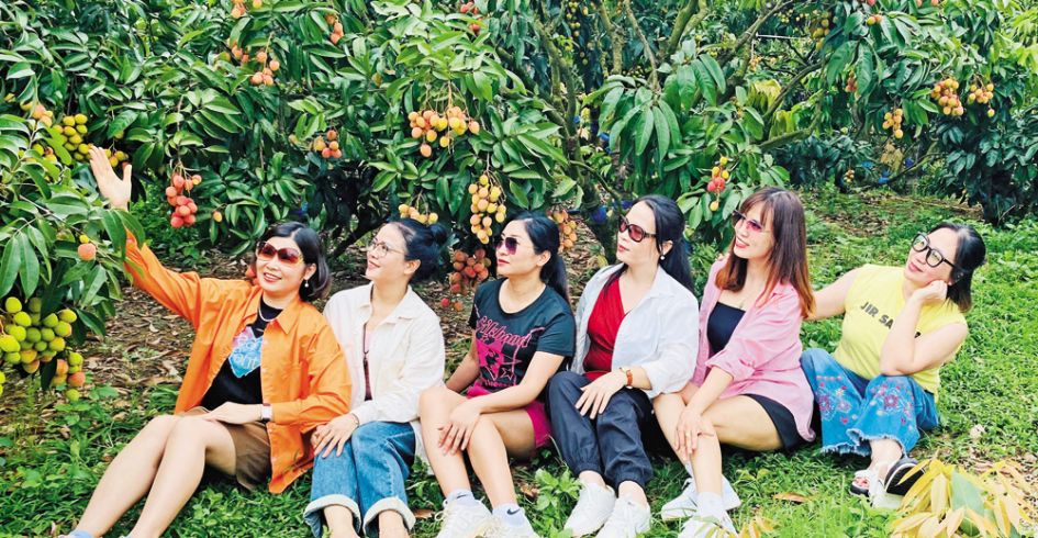 Nhà vườn hút khách tham quan