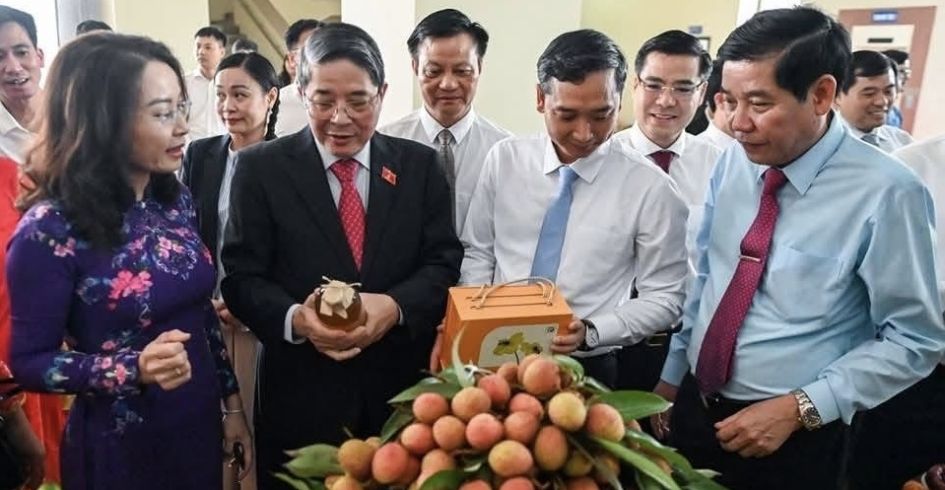 Hoạt động trưng bày, quảng bá tại Hội nghị xúc tiến tiêu thụ vải thiều và các nông sản chủ lực, đặc trưng, sản phẩm OCOP của tỉnh năm 2025