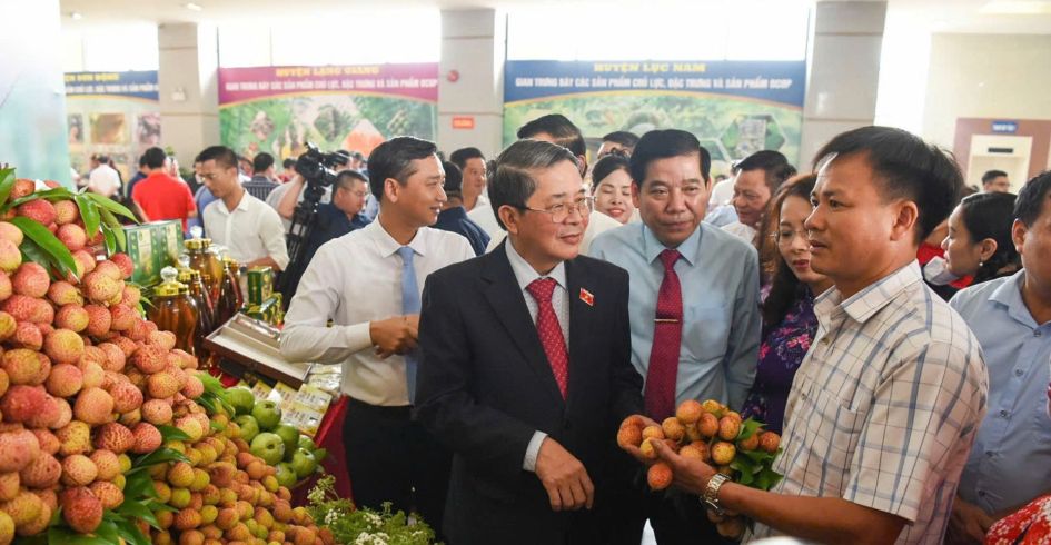 Bắc Giang tổ chức Hội nghị xúc tiến tiêu thụ vải thiều năm 2025