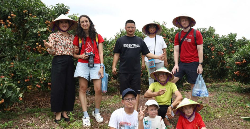 Bắc Giang: Hút khách du lịch mùa vải thiều
