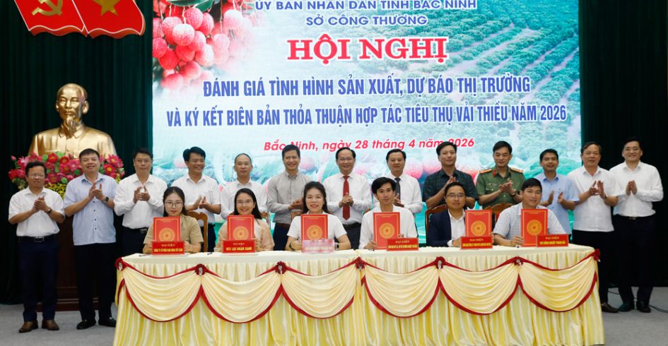 Bắc Ninh mở rộng tiêu thụ vải thiều vụ 2026
