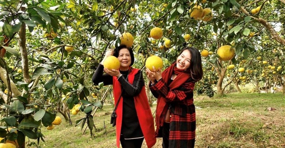 Kỳ vọng vào những chính sách ưu tiên để du lịch phát triển
