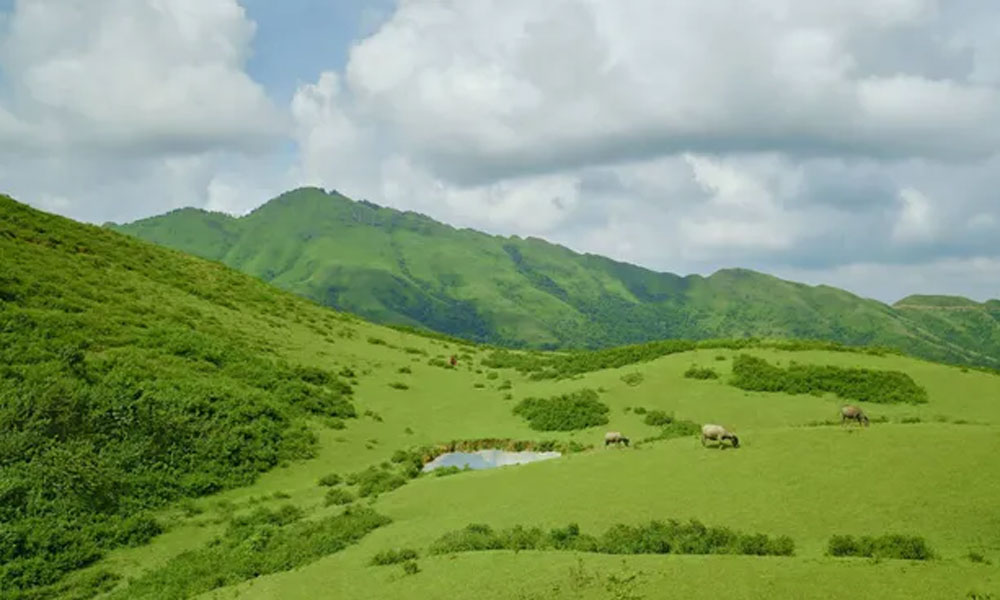 Khám phá 