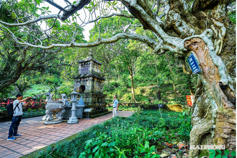 3 tour du lịch mới khám phá di sản thế giới Côn Sơn - Kiếp Bạc