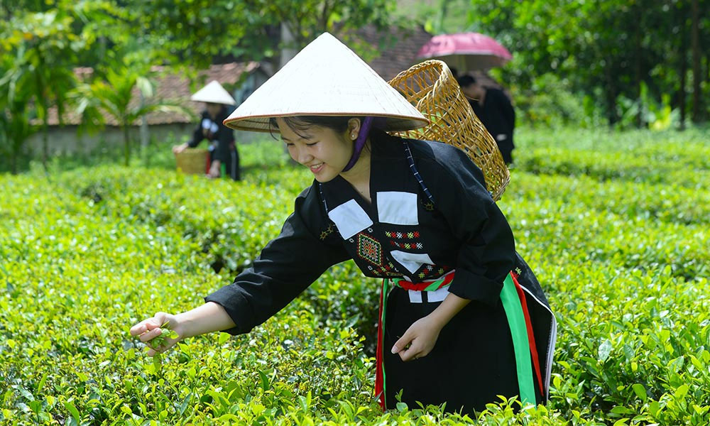 Định vị thương hiệu du lịch Bắc Giang