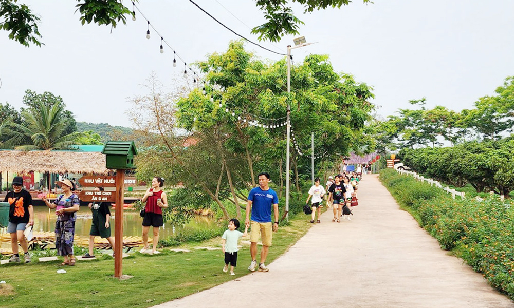 Vé máy bay tăng, các tour đường bộ hút khách