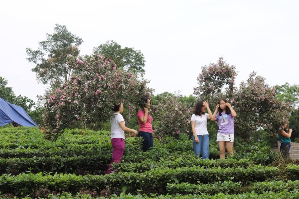 Bắc Giang đạt 2 triệu lượt khách du lịch