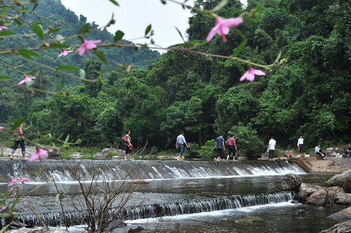 UBND tỉnh phê duyệt Quy hoạch chi tiêt xây dựng Khu du lịch sinh thái rừng Khe Rỗ, xã An Lạc, huyện Sơn Động (tỷ lệ 1/500)