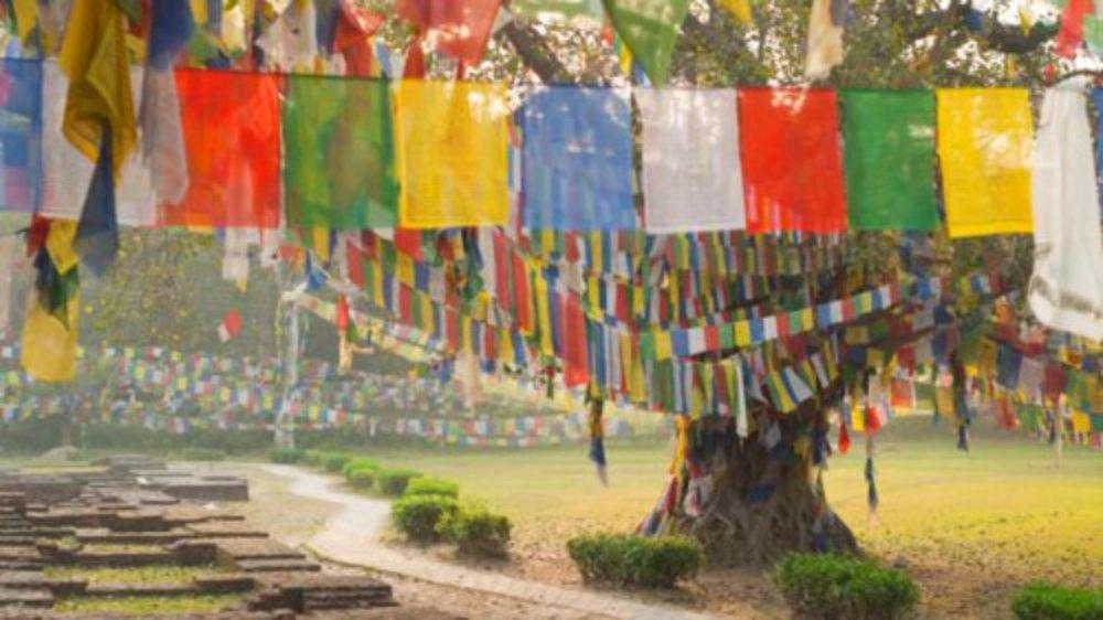 “Suốt nhiều thập kỷ qua, thành phố Lumbini chỉ thoáng qua trong mắt du khách trong hành trình từ Ấn Độ tới Nepal. Nhưng ít người biết rằng nơi đây là cái nôi của đạo Phật”, Lonely Planet viết. “Ngày nay, Lumbini đang trên đà trở thành điểm du lịch hấp dẫn và một sân bay quốc tế sắp hoàn thành ở đây”. “Suốt nhiều thập kỷ qua, thành phố Lumbini chỉ thoáng qua trong mắt du khách trong hành trình từ Ấn Độ tới Nepal. Nhưng ít người biết rằng nơi đây là cái nôi của đạo Phật”, Lonely Planet viết. “Ngày nay, Lumbini đang trên đà trở thành điểm du lịch hấp dẫn và một sân bay quốc tế sắp hoàn thành ở đây”.