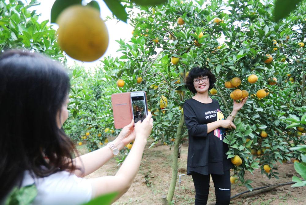    Du khách trải nghiệm vùng cây ăn quả Lục Ngạn.      Ảnh: Danh Lam
