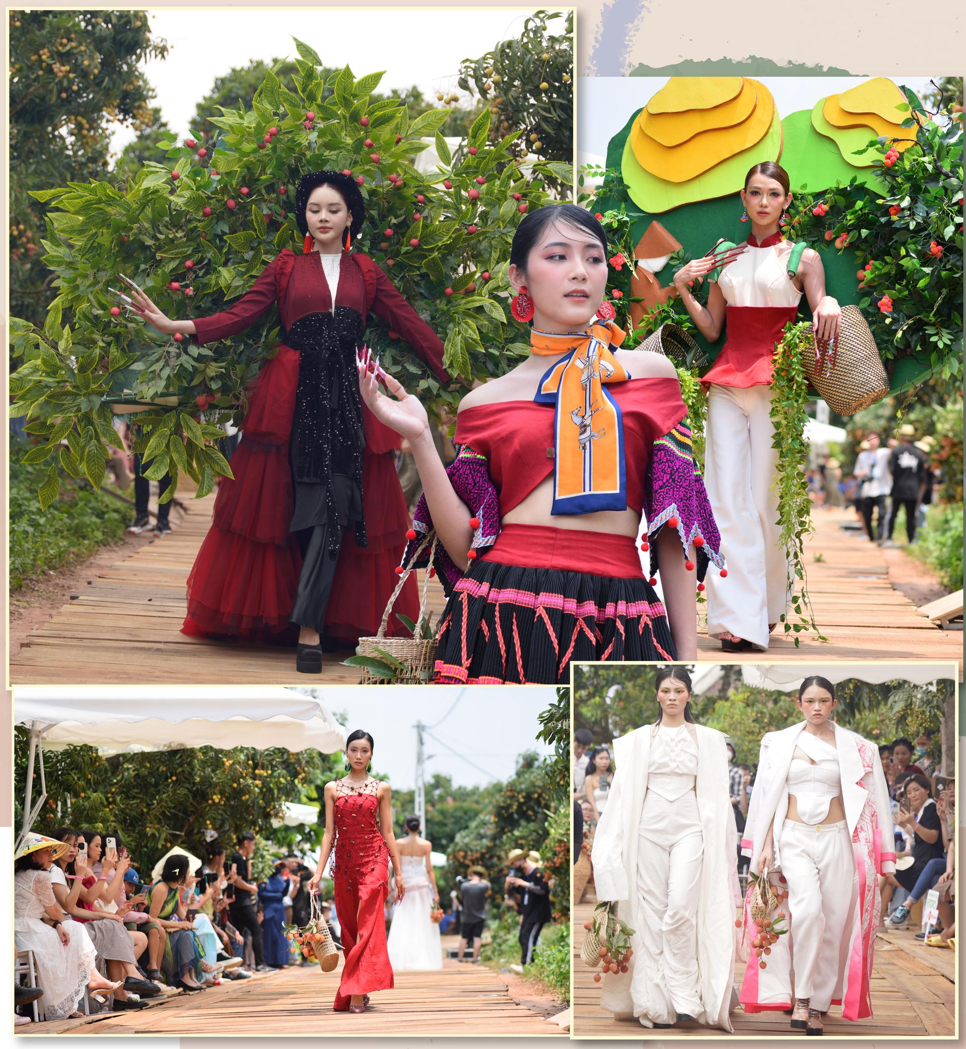 Cánh bướm Lục Ngạn, thương hiệu nông sản, Bắc Giang, nông sản Bắc Giang, Vải thiều Lục Ngạn, Vải thiều Bắc Giang