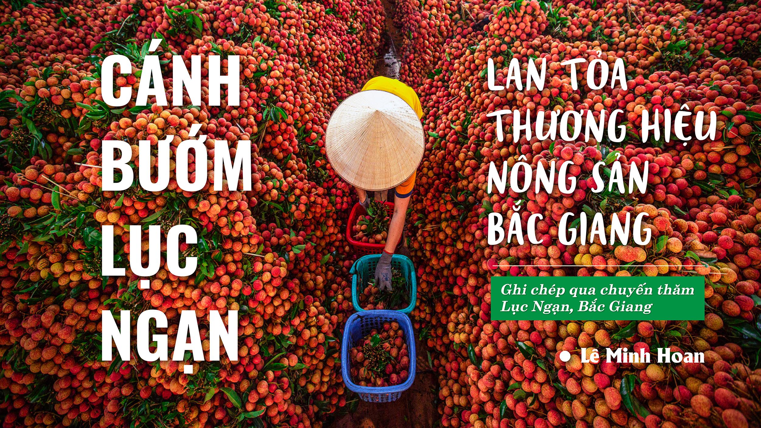 Cánh bướm Lục Ngạn, thương hiệu nông sản, Bắc Giang, nông sản Bắc Giang, Vải thiều Lục Ngạn, Vải thiều Bắc Giang